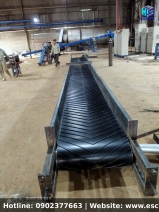 Băng tải PVC